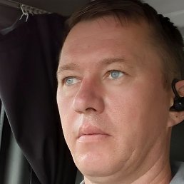 �������, �����, 41 ���