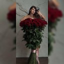 ���� ������, �����������, 40 ��� - ��������� 26 ������ 2026 � ������ ������ ��������