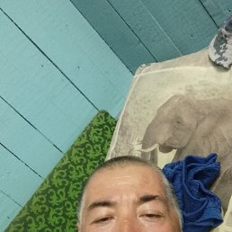 , 43 , 