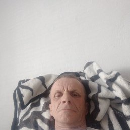 , 53, 