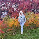 ���� �������, ���������, 58 ��� - ��������� 22 ������ 2026 � ������ ���� ����������