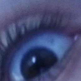 �������, ������, 37 ���