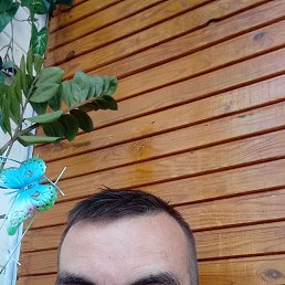 �����, 41 ���, ����