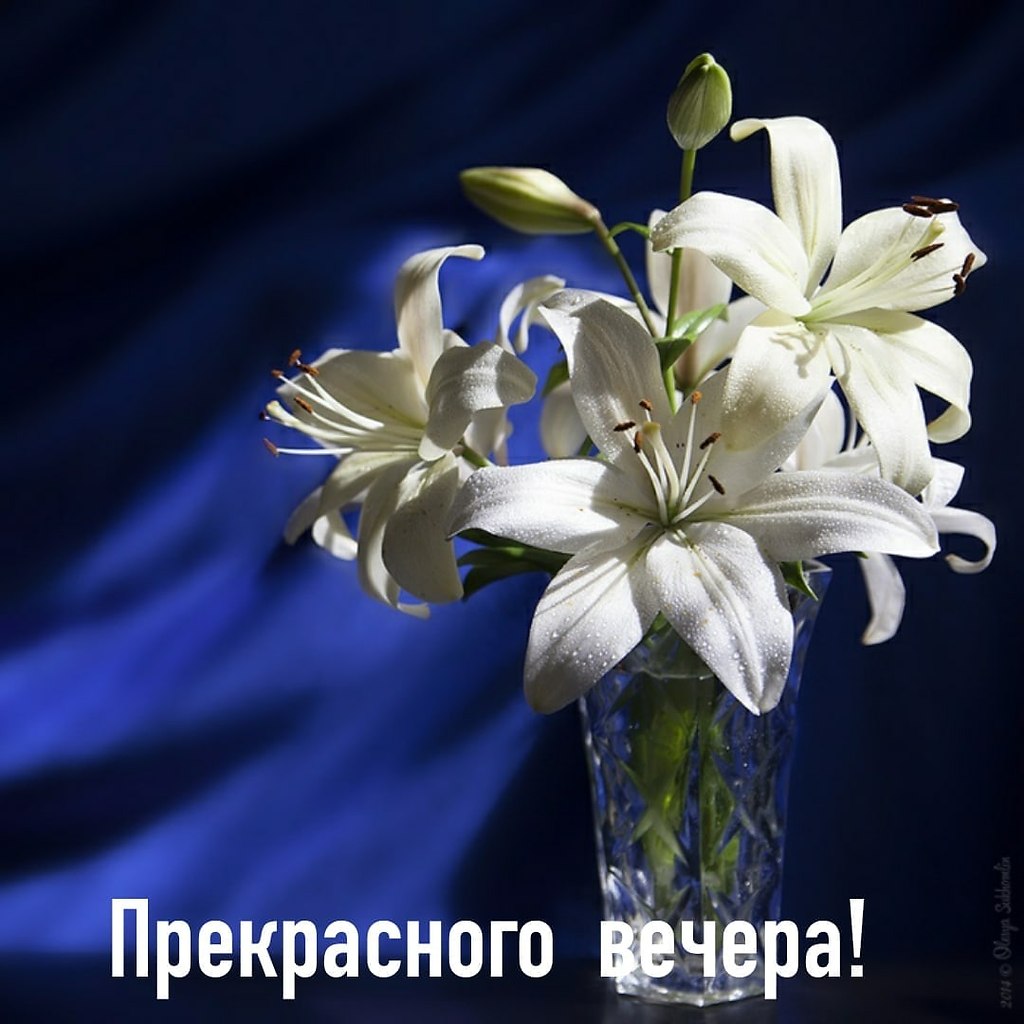   ,    . - 22  2025  11:28 - 3