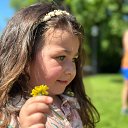 ���� �������, ������, 84 ���� - ��������� 2 ���� 2024 � ������ ���� ����������