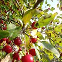 ���� C������, �������� - ��������� 20 �������� 2025 � ������ ���� ����������