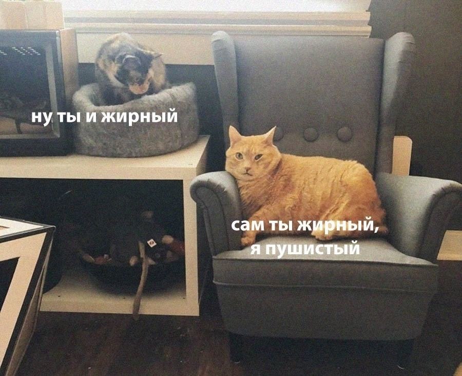    - 7  2024  20:43