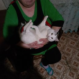 ���� �����, ���������, 62 ���� - ��������� 27 ������� 2023