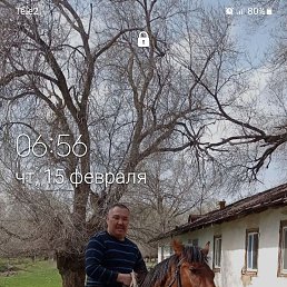 �����, ������, 44 ����