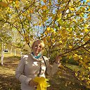 ���� ������, ����, 66 ��� - ��������� 25 ������� 2025