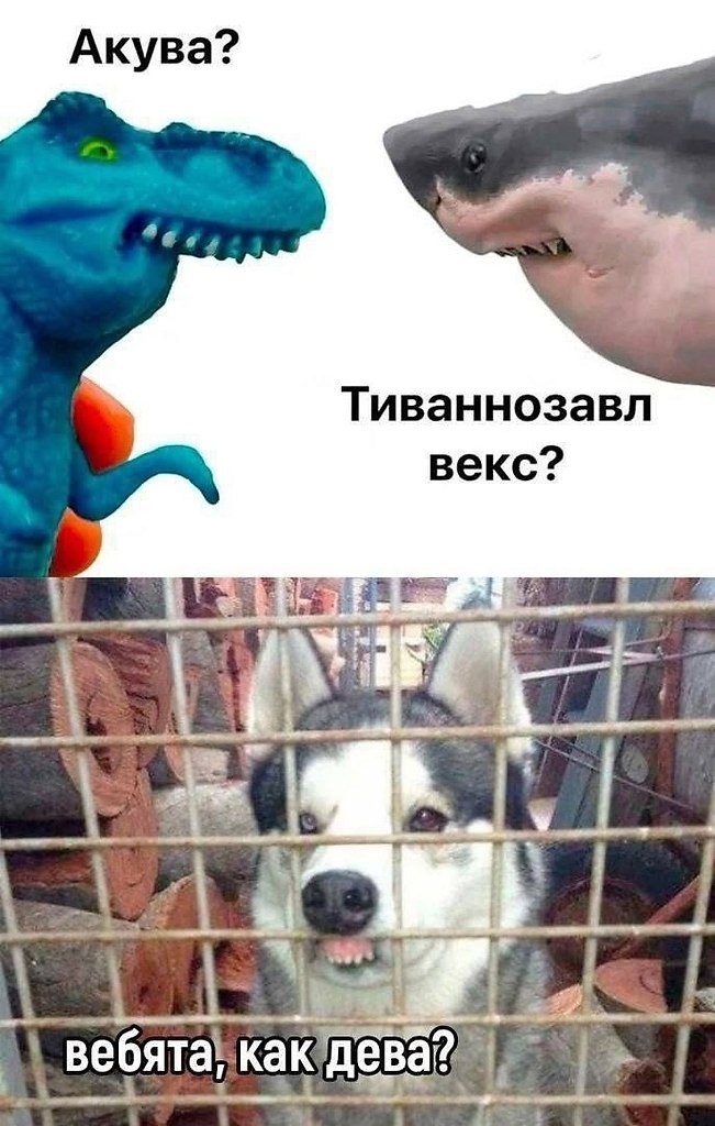 ���� ��� ���� - 14 ���� 2025 � 21:35