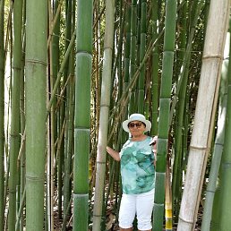 �����, ��������, 59 ���