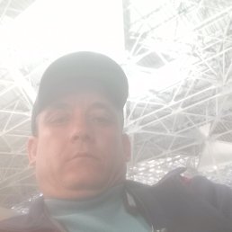 , 40 , 