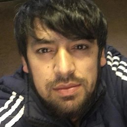 ��������� ���������, ����������, 33 ����