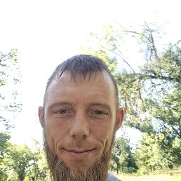 , 33, 