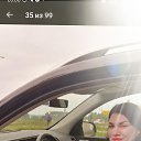 ���� ����, ����, 40 ��� - ��������� 22 ������ 2026 � ������ ���� ����������