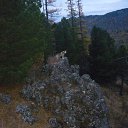 ���� ���������, �����������, 52 ���� - ��������� 24 ������� 2026