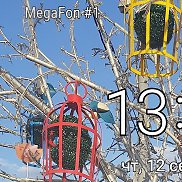 ����������, 54 ����, ������