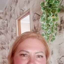 , 53, 