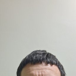 �������, 41 ���, ���