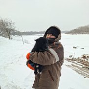 �����, 31 ���, ���