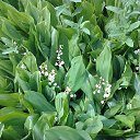 ���� ���������, ���������� - ��������� 14 ��� 2025 � ������ ���� ������