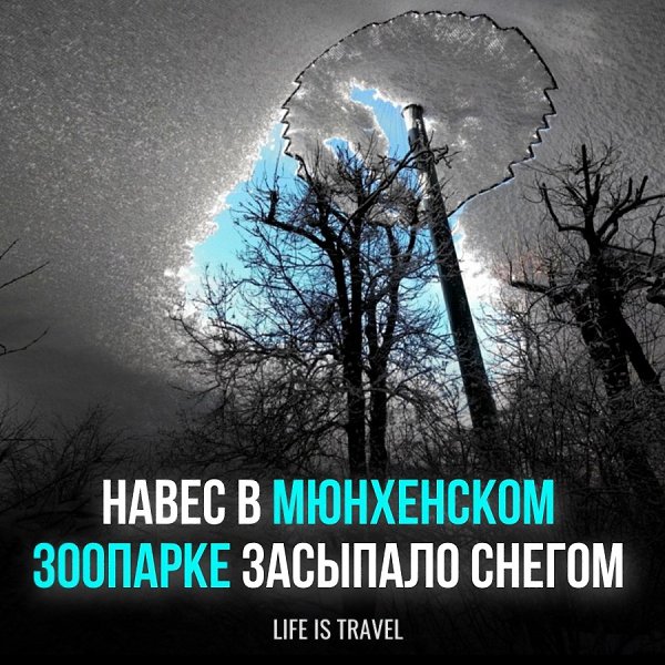 Снегопад в Мюнхене вызвал серьезные проблемы с транспортом и авиасообщением. Большое количество ...