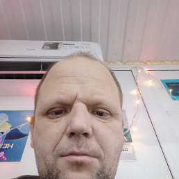 �����, 41 ���, ������������