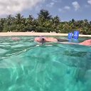 ���� �����, ������, 65 ��� - ��������� 15 ����� 2026 � ������ ������ ��������
