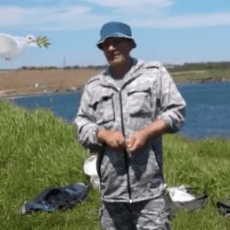 , 53,  