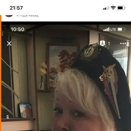 �������, ����-���������, 86 ���