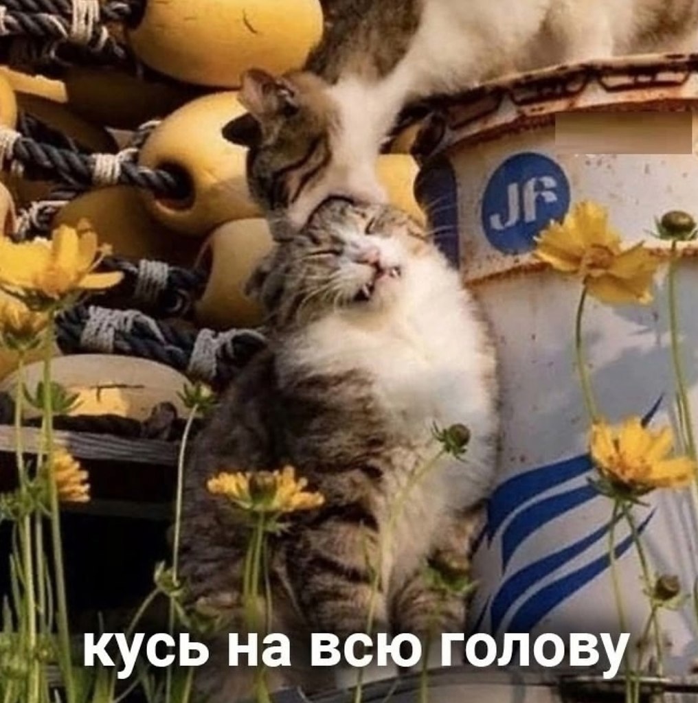 Все кусь прекрасны - 8