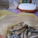    31 , , 33  -  28  2023