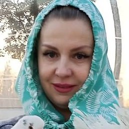 �������, ���������, 53 ����