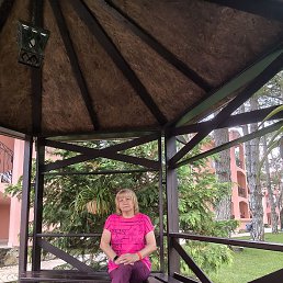 �����, �������, 65 ���