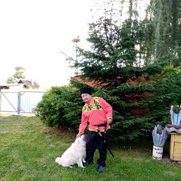 ���� ���������, �������� , 46 ��� - ��������� 28 ������� 2024