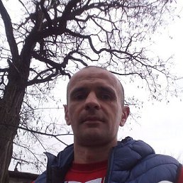 , 37, 