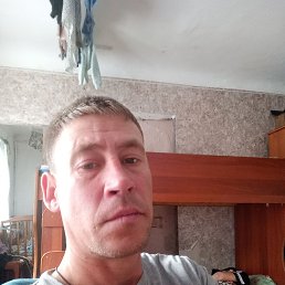 , 37, 