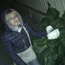 ���� �����, �����, 44 ���� - ��������� 26 ������� 2026 � ������ ���� ����������