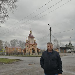 , 66, 