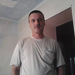 , 61,  
