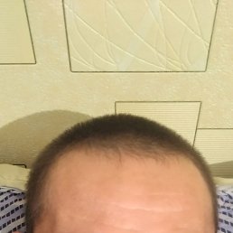 , 41, 