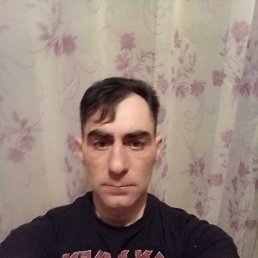 , 48, 