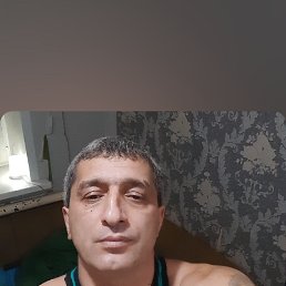 , 44, 