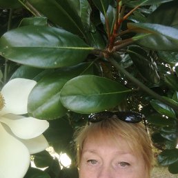 , 60, 
