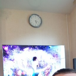 , 41, 