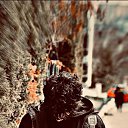 ���� Ali, �����������, 33 ���� - ��������� 26 ����� 2024