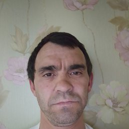 , 41, 