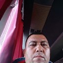 ���� �����, ���������, 43 ���� - ��������� 13 ���� 2026 � ������ ���� ����������