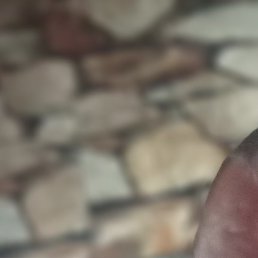 ����, ������������, 47 ���